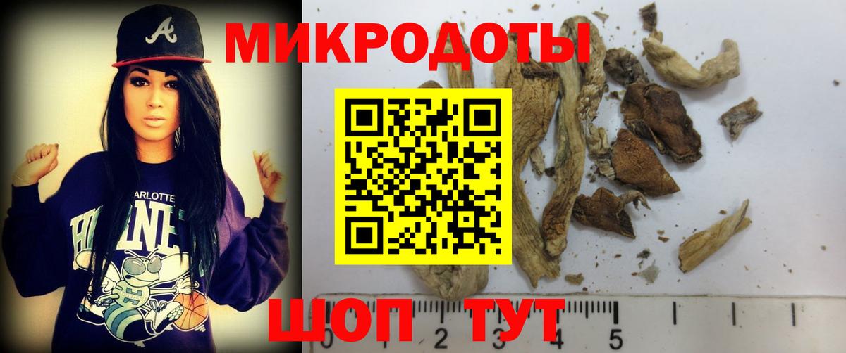 Псилоцибиновые грибы мухоморы  Вход с VPN  Махачкала 