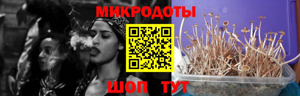 Псилоцибиновые грибы MAGIC MUSHROOMS Махачкала